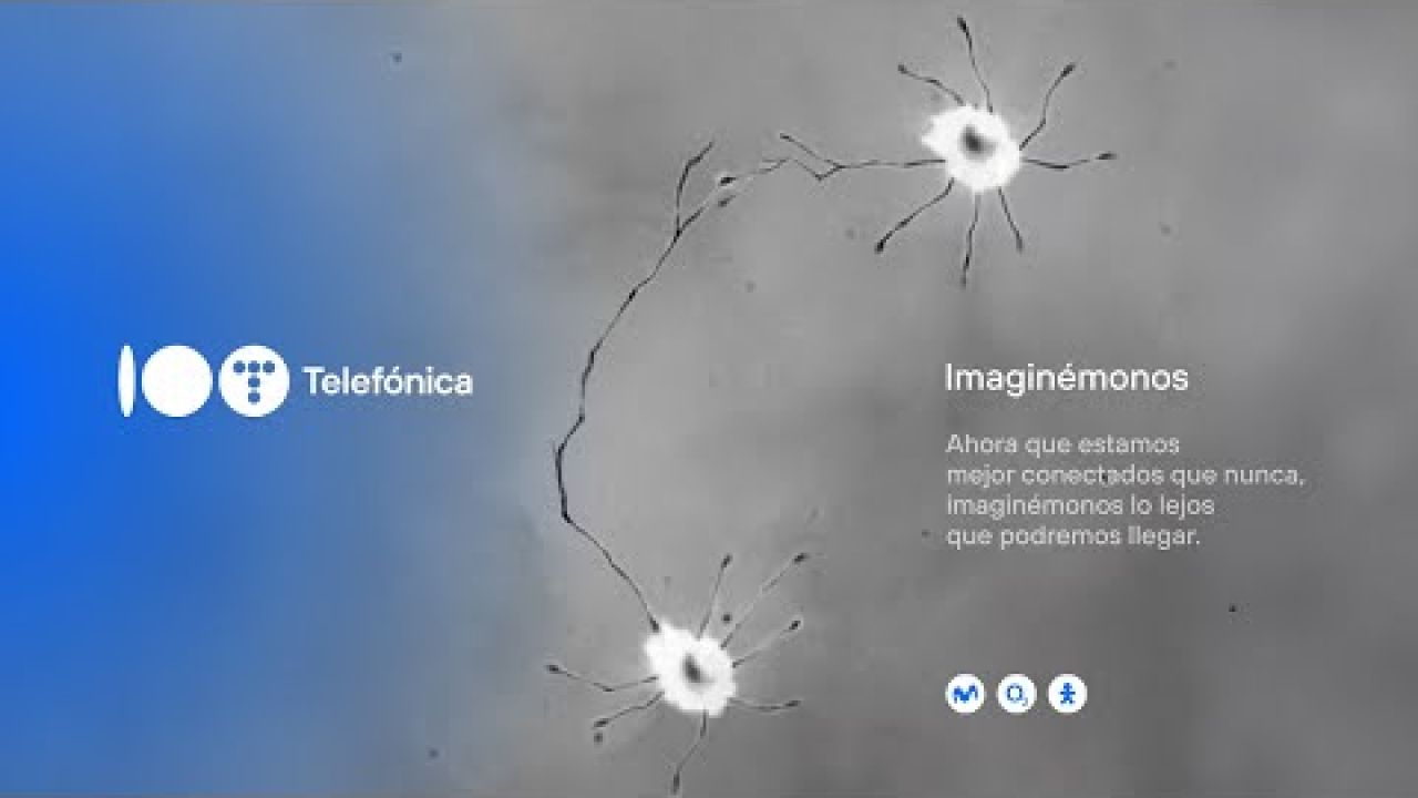 Ahora que estamos mejor conectados que nunca, imaginémonos -Neurona-